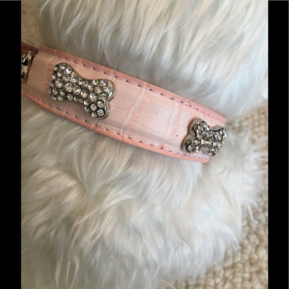 Statement Collar - Picture 6 of 7